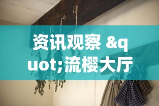 资讯观察 "流樱大厅能安装挂吗”分享用挂教程