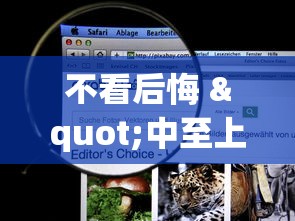反复测试 "微乐云南麻将怎么样才能赢”详细辅助软件教程