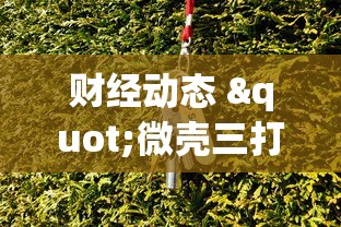 财经动态 "微壳三打哈可以开挂吗	”(透视)其实真的有挂