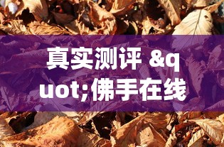 真实测评 "佛手在线十三道怎样才会有好牌”真的有挂